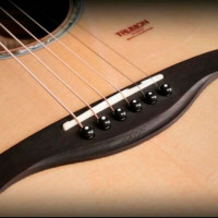 Trumon 280TF Гитара акустическая 41" Grand Auditorium с чехлом, цвет натуральный
