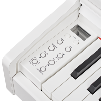 Becker BDP-92W