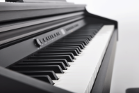 Artesia DP-3 Satin