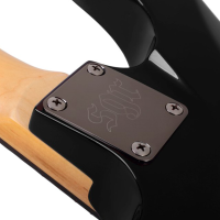 SCHECTER SGR C-1 BLK Электрогитара, 6 струн, цвет чёрный, чехол в комплекте