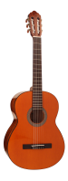 Cort AC100DX YT