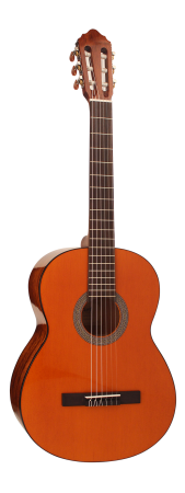 Cort AC100DX YT