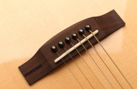 Oriental Cherry W-500S-40