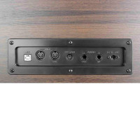 SOLISTA DP200BR Фортепиано цифровое, цвет коричневый 