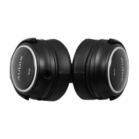 Audix A145