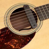 Fishman PRO-NEO-D02 Neo-D