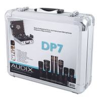 Audix DP7