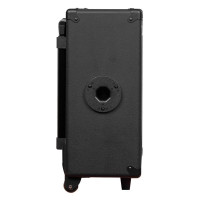 Joyo JPA863 Акустическая система портативная, 30Вт, беспроводные микрофоны в комплекте