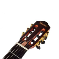 Tayste TS-CG100-N Электроакустическая классическая , 4/4, цвет натуральный