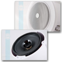 Громкоговоритель CVGaudio CRW4T