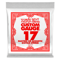 Ernie Ball .017
