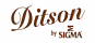 DITSON GUITARS DITSON GUITARS