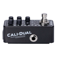 Mooer M011 Преамп Cali-Dual, двухканальный моделирующий