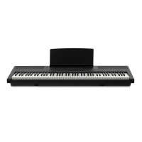 Emotive Hammerpiano 1 BK Цифровое фортепиано, цвет черный