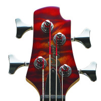 CORT Action DLX Plus CRS