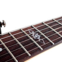 SCHECTER SGR C-1 EB Электрогитара, 6 струн, цвет синий, чехол в комплекте