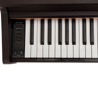 Antares W-600 BR Цифровое фортепиано с WEB-приложением, цвет коричневый