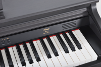 Artesia DP-3 Satin