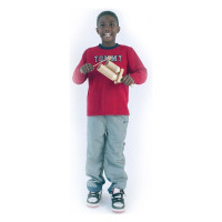 Тон-блок Planet Music DP-254