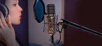 Synco Mic-V1 USB