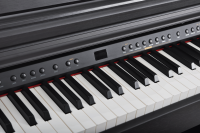 Artesia DP-3 Satin