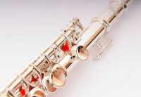 Флейта Пикколо Fleet FLT-PC-S