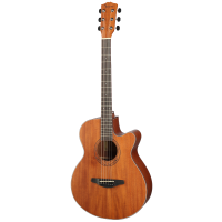 Shinobi H-1/N