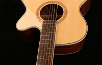 Oriental Cherry W-500S-40