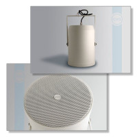 Громкоговоритель CVGaudio SPP6T
