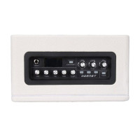 Mooer DH07 Hornet 30WH