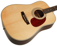 Cort EARTH80 NS