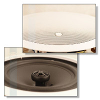 Громкоговоритель CVGaudio CRX8T