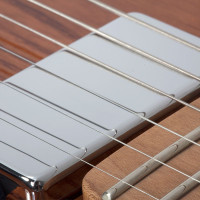 SCHECTER PT VAN NUYS GNAT ASH Электрогитара, 6 струн, цвет натуральный ясень