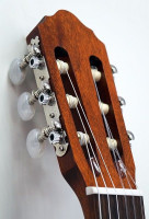 Cort AC100-SG