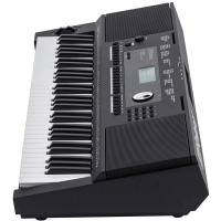Roland E-X20