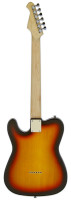 ARIA TEG-002 3TS