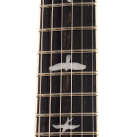 PRS SE CUSTOM 24 Quilt QQEIBBG Электрогитара 6 струн, с чехлом, BLACK GOLD