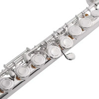VIVOTON Standart 16 X Флейта C (До) ученическая (с изогнутой головкой)