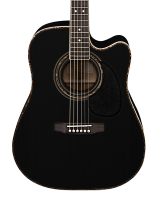 Cort AD880CE BK W_BAG