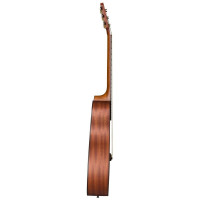 BATON ROUGE X11C/F Гитара акустическая Folk, 6 струн, цвет натураный матовый