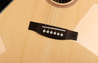 Oriental Cherry W-100-41