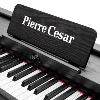 Pierre Cesar DP-12-H-BK Фортепиано цифровое, 88 клавиш