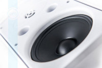 CVGaudio RF616TW Громкоговоритель настенный