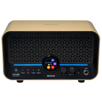 Mooer F15i Li Gold Комбоусилитель портативный, 15 Вт, цвет золотой