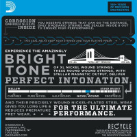 D'Addario EXL 115