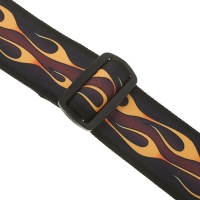 Planet Waves 50F09