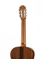 Kremona F65S Spruce Fiesta Soloist