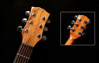 Oriental Cherry W-300-41