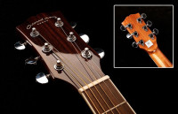 Oriental Cherry W-500S-40