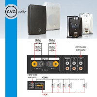 Громкоговоритель CVGaudio SF616TBL